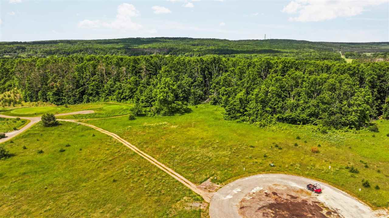 2522 Red Hawk Court Harbor Springs MI 49740