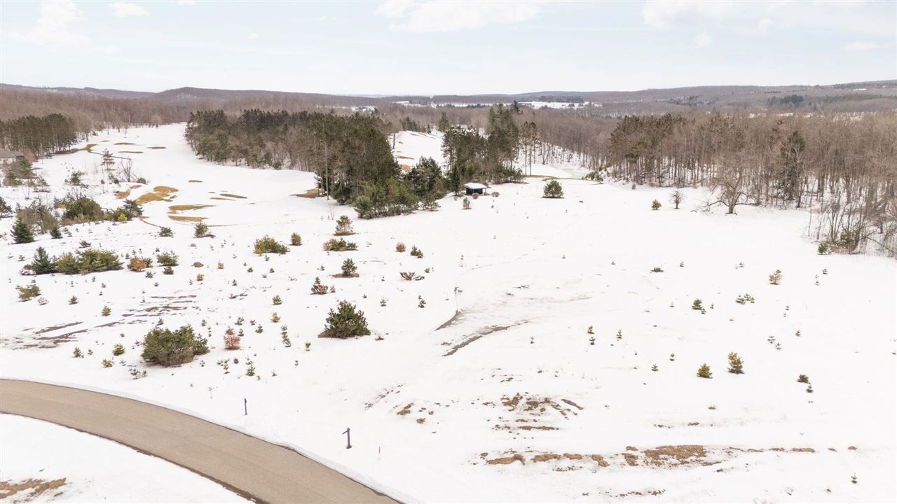 2522 Red Hawk Court Harbor Springs MI 49740
