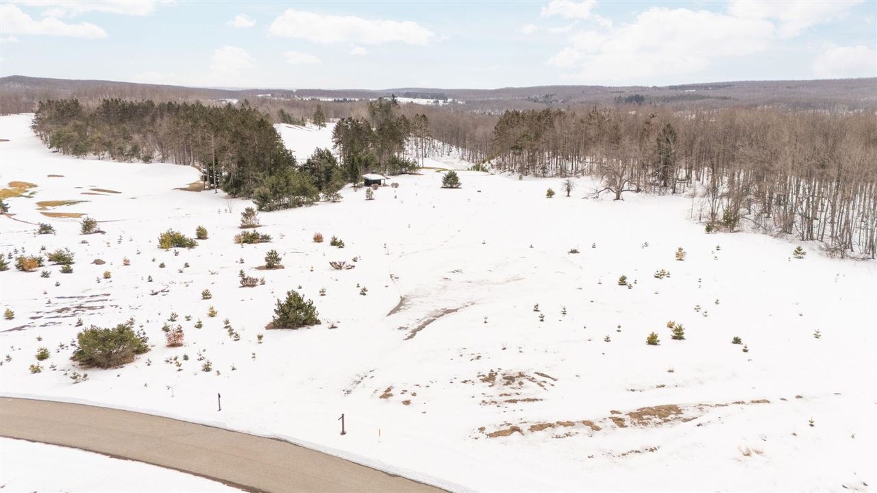 2522 Red Hawk Court Harbor Springs MI 49740