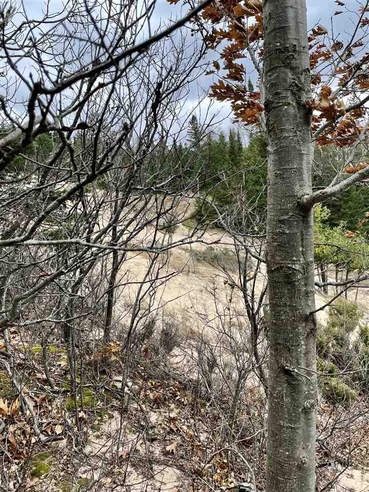 8916 Sturgeon Bay Drive Harbor Springs MI 49740