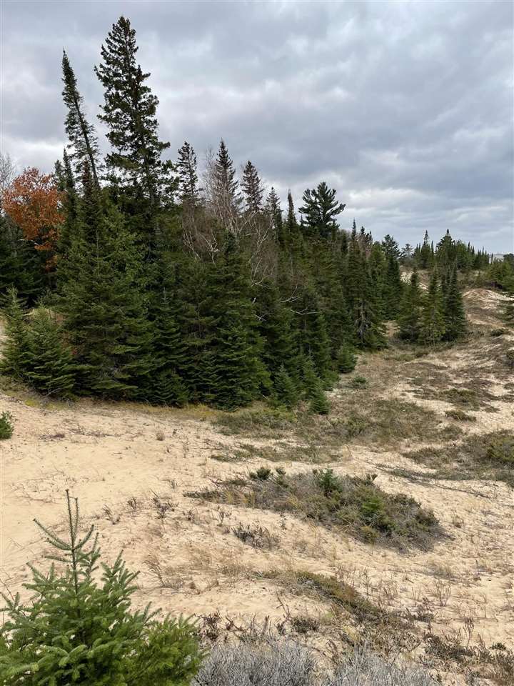 8916 Sturgeon Bay Drive Harbor Springs MI 49740