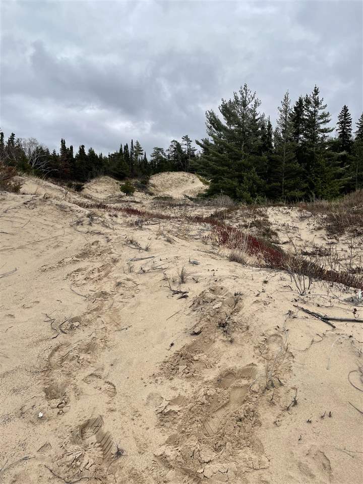 8916 Sturgeon Bay Drive Harbor Springs MI 49740