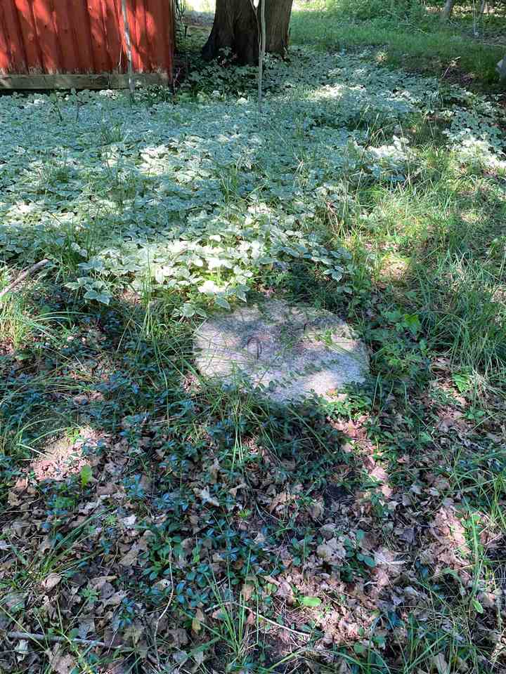 Tbd Nelson Road East Jordan MI 49727