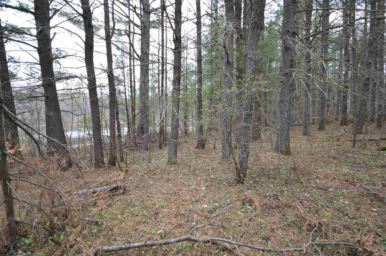 5116 Wildwood Drive Elmira MI 49730
