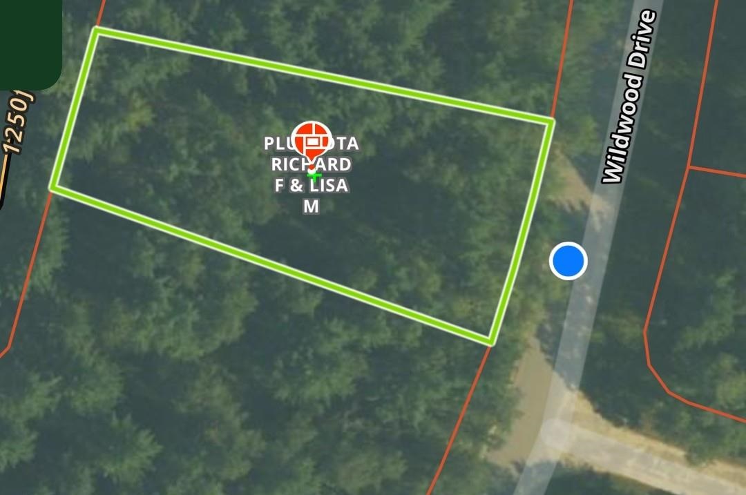 5116 Wildwood Drive Elmira MI 49730