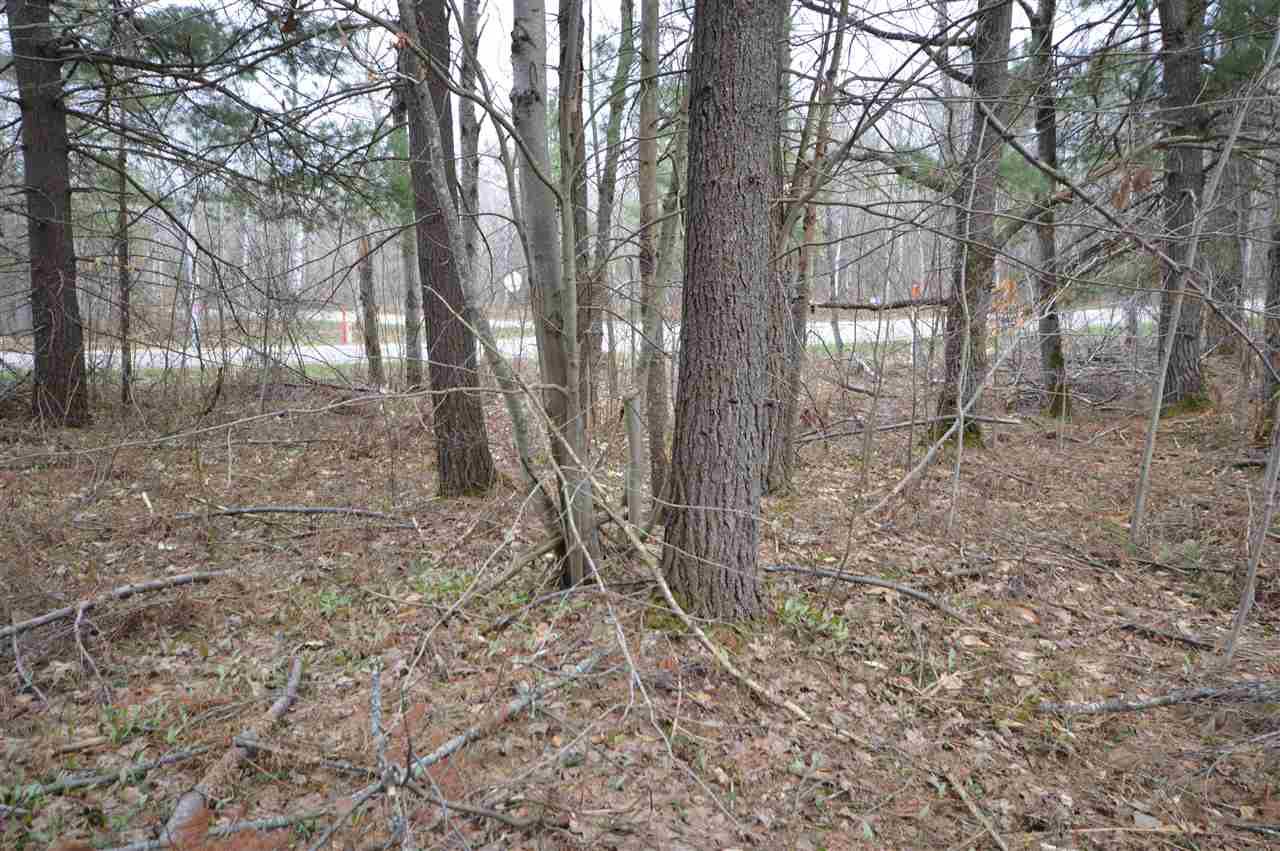 5116 Wildwood Drive Elmira MI 49730