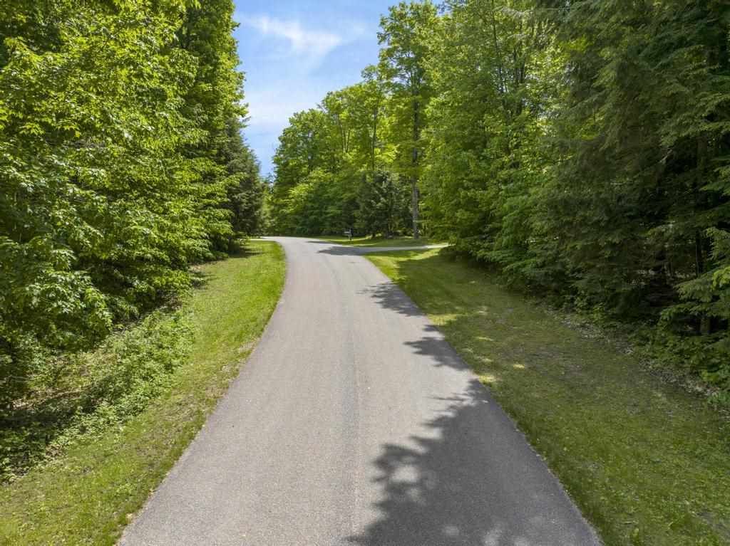 8473 Pleasantview Woods Drive Harbor Springs MI 49740