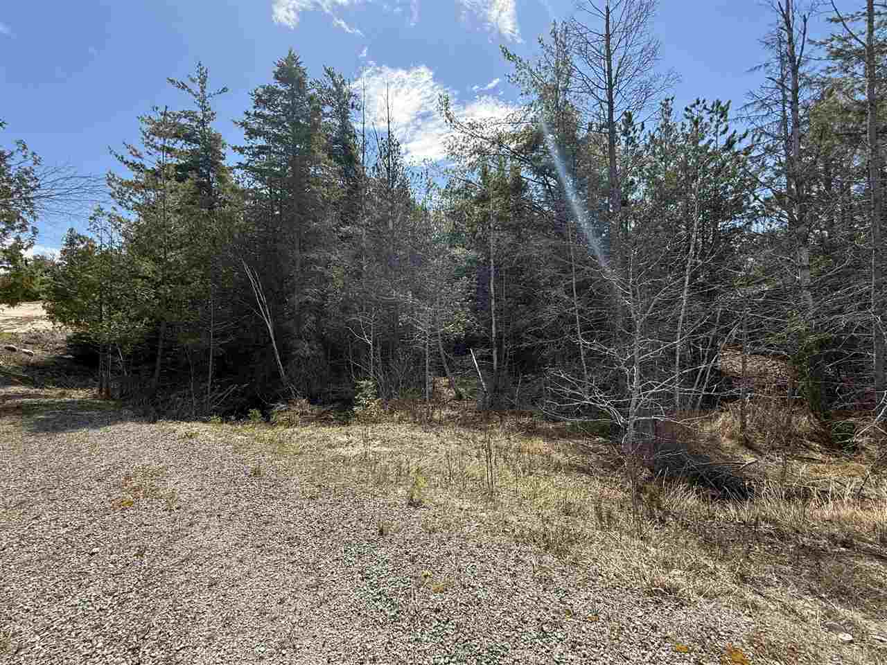 8439 Sturgeon Bay Drive Harbor Springs MI 49740