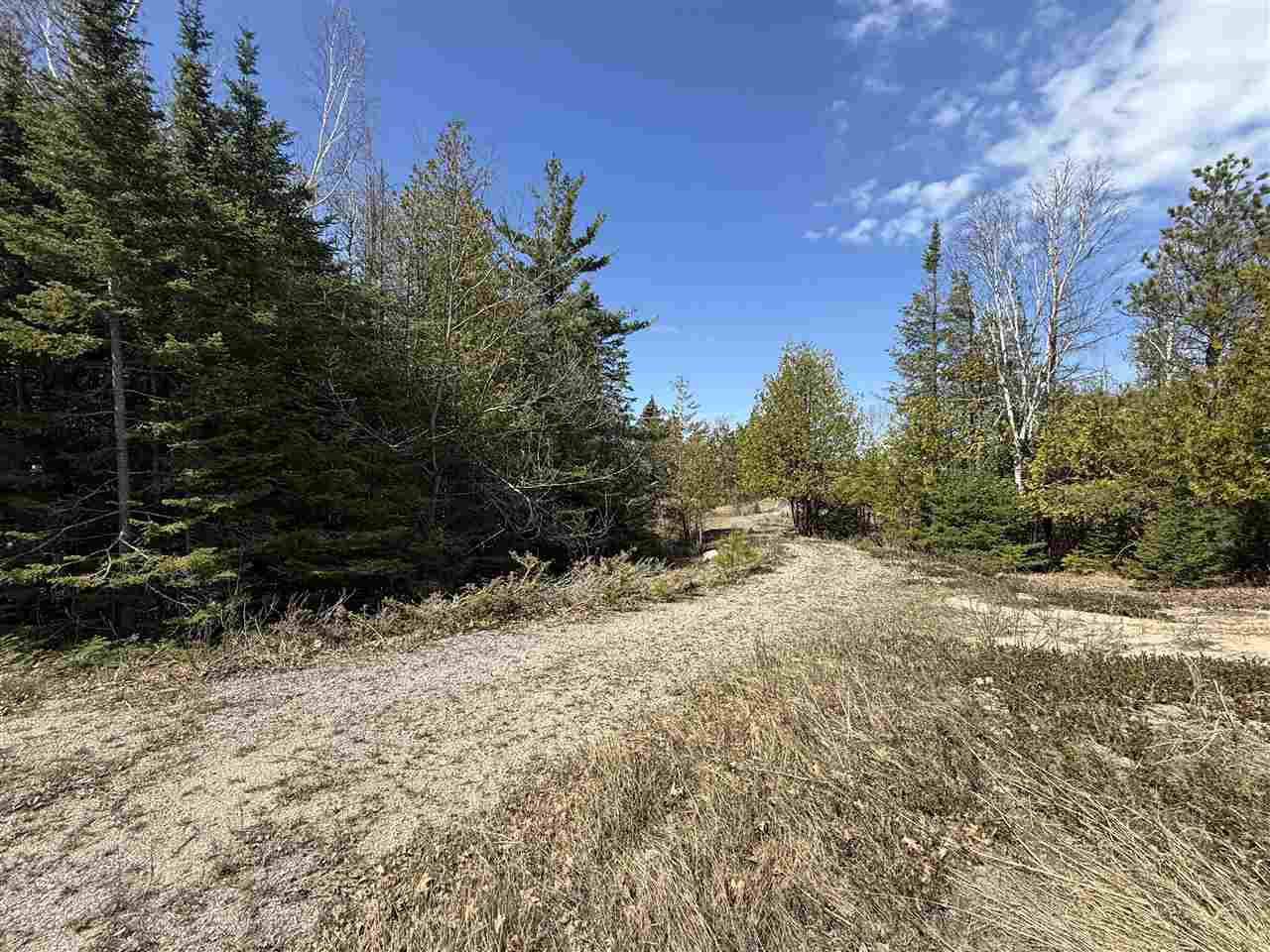 8439 Sturgeon Bay Drive Harbor Springs MI 49740