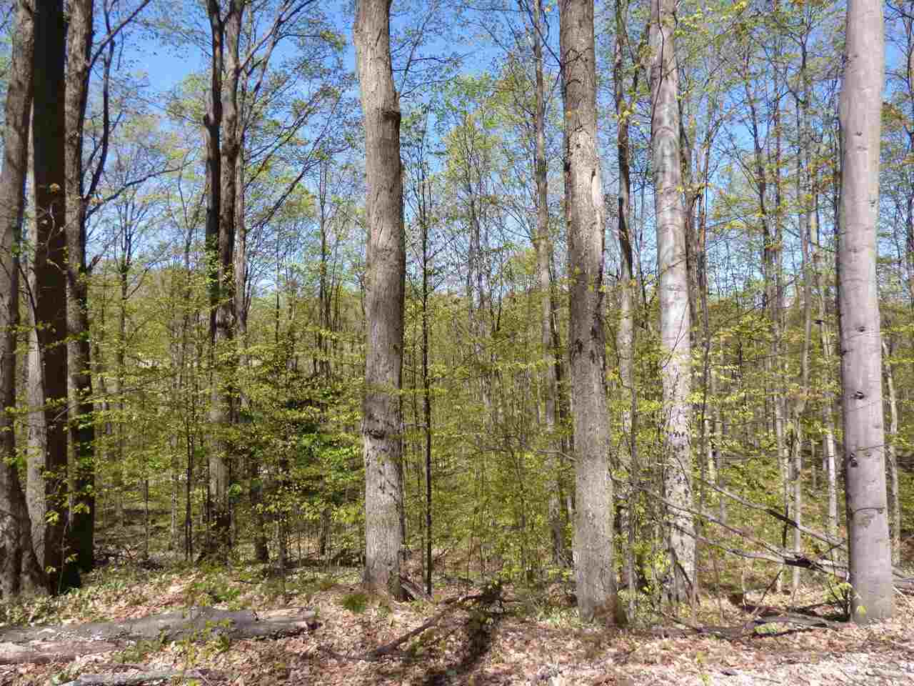 Parcel B Broken Arrow Drive Bellaire MI 49615