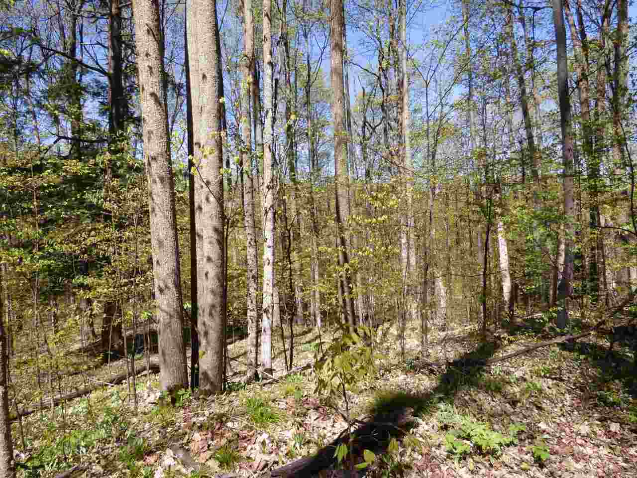 Parcel B Broken Arrow Drive Bellaire MI 49615