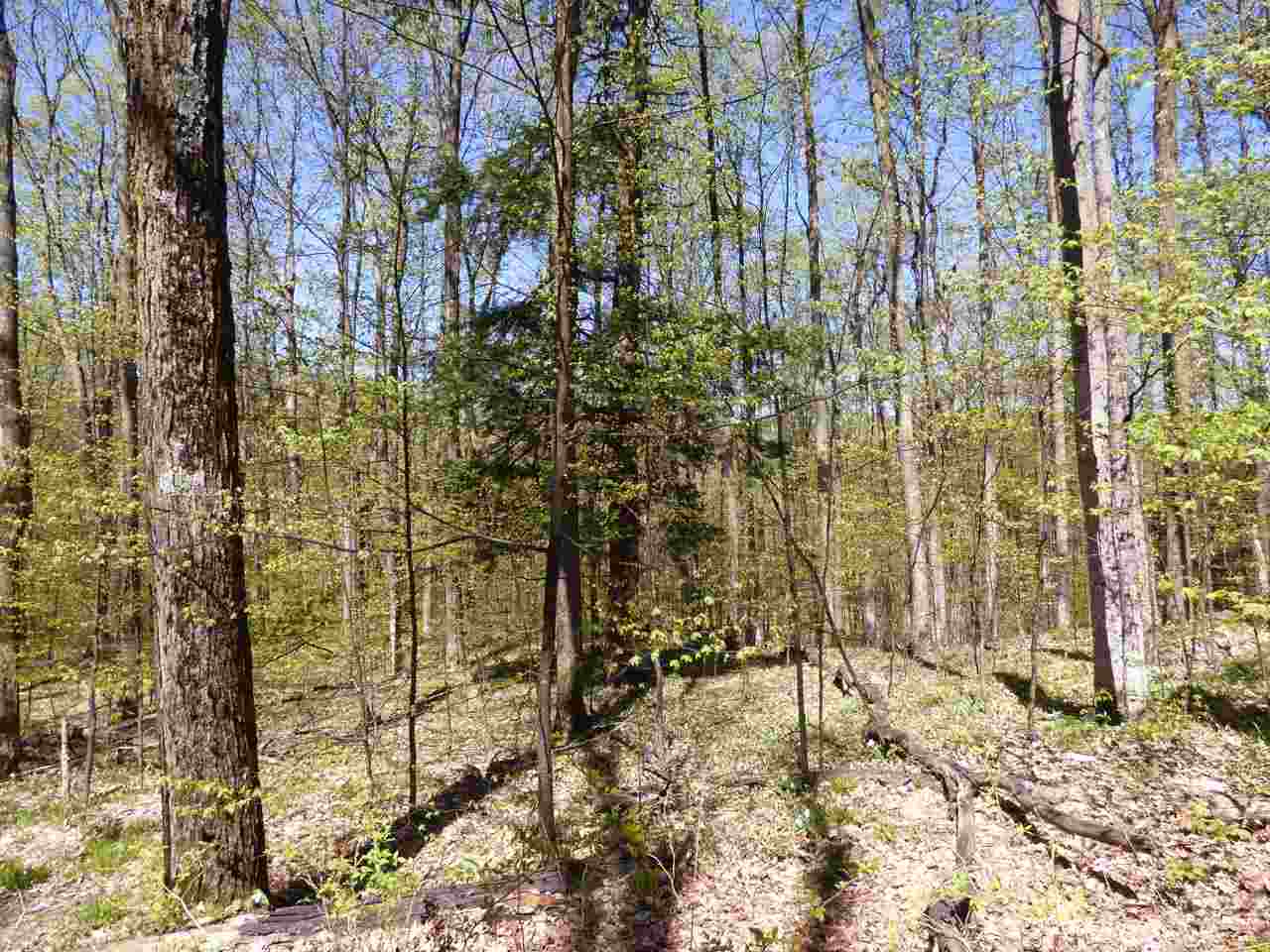 Parcel B Broken Arrow Drive Bellaire MI 49615