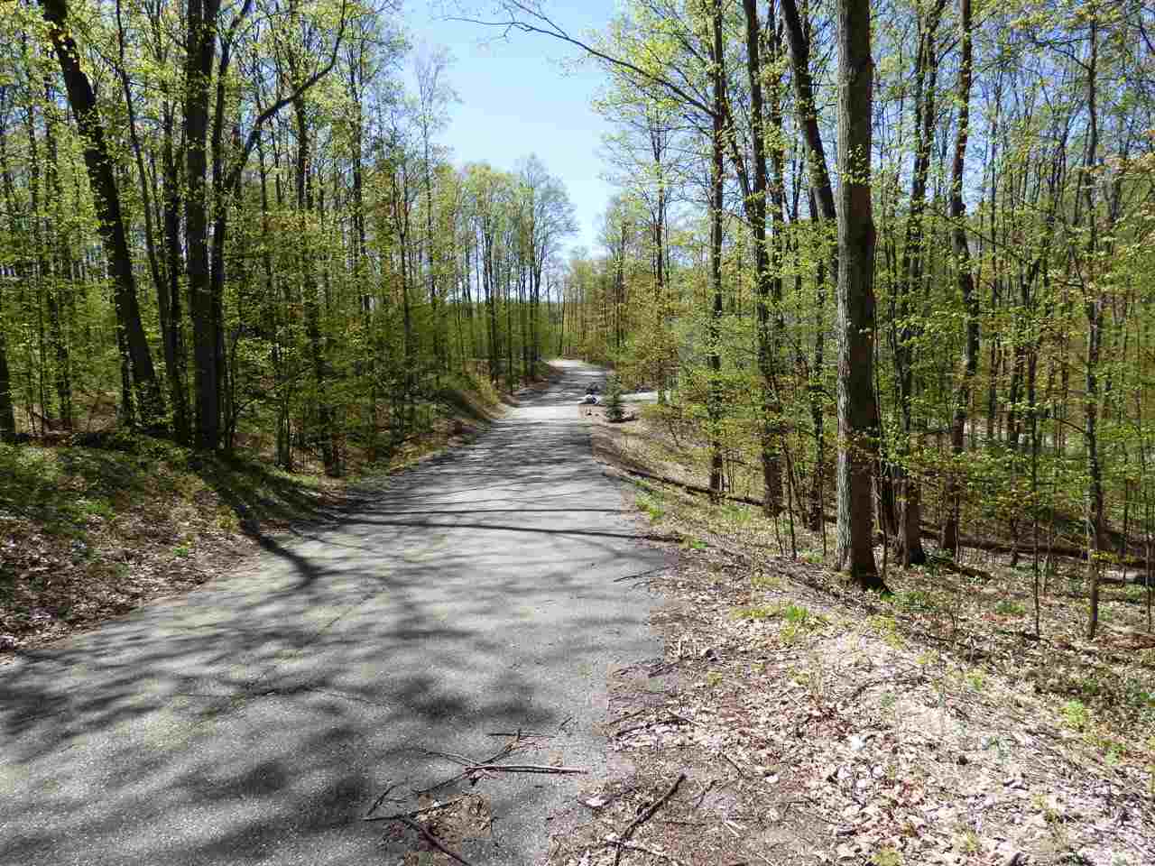 Parcel B Broken Arrow Drive Bellaire MI 49615