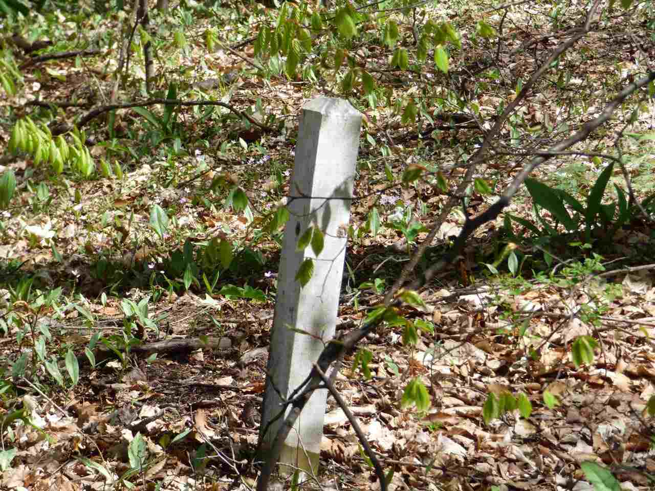 Parcel B Broken Arrow Drive Bellaire MI 49615