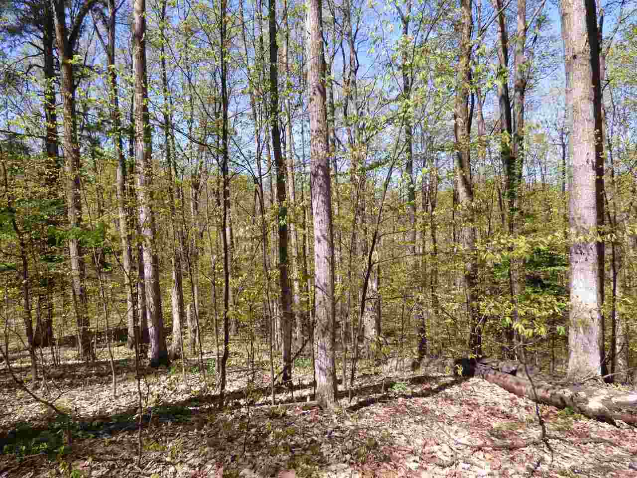 Parcel B Broken Arrow Drive Bellaire MI 49615