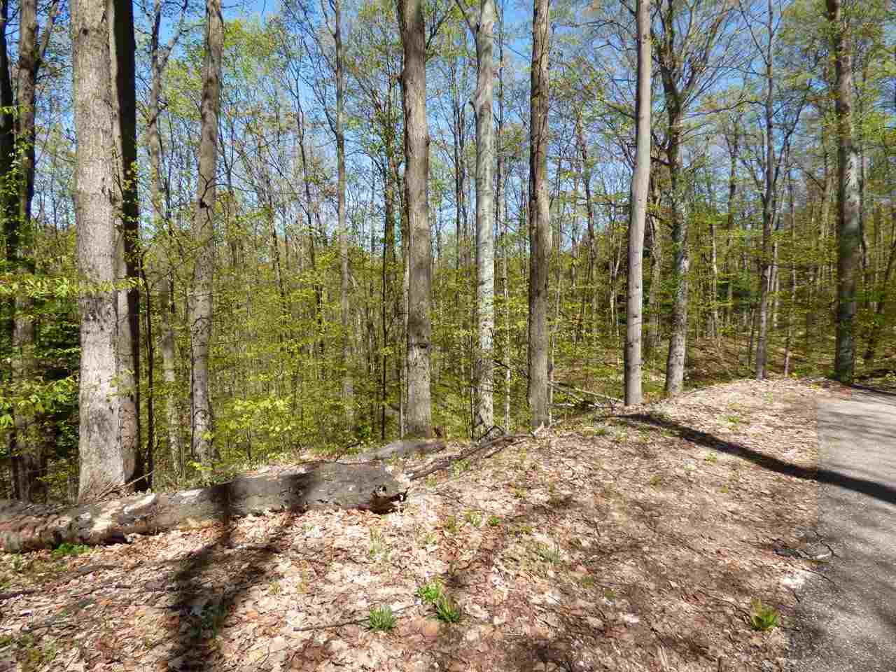 Parcel B Broken Arrow Drive Bellaire MI 49615