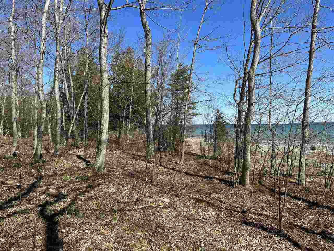 Tbd Garden Island View Beaver Island MI 49782