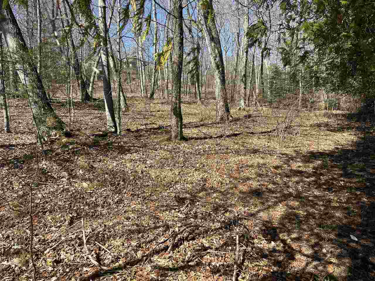 Tbd Garden Island View Beaver Island MI 49782