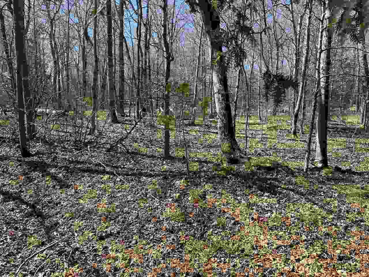 Tbd Garden Island View Beaver Island MI 49782