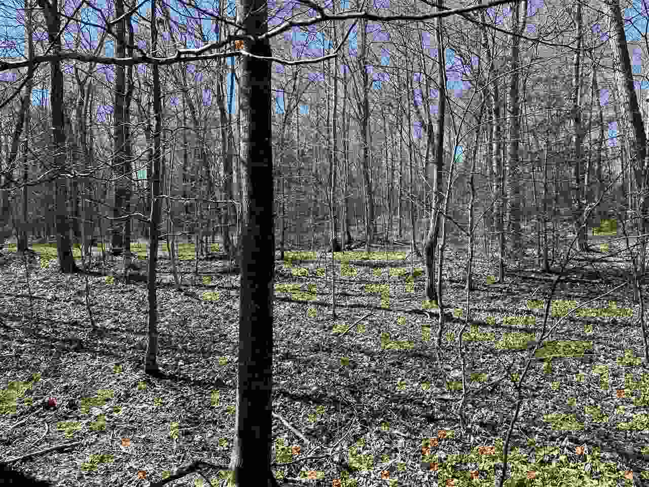 Tbd Garden Island View Beaver Island MI 49782