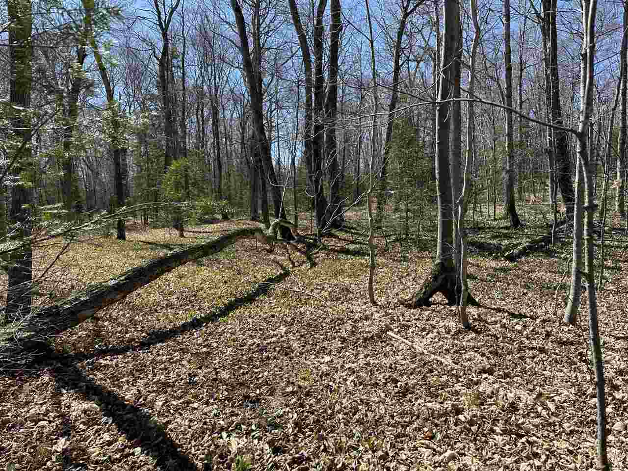 Tbd Garden Island View Beaver Island MI 49782