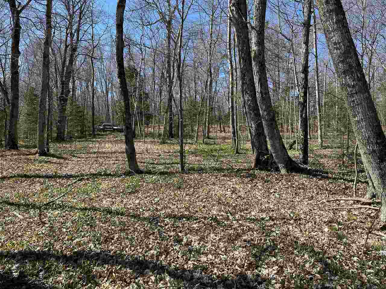 Tbd Garden Island View Beaver Island MI 49782