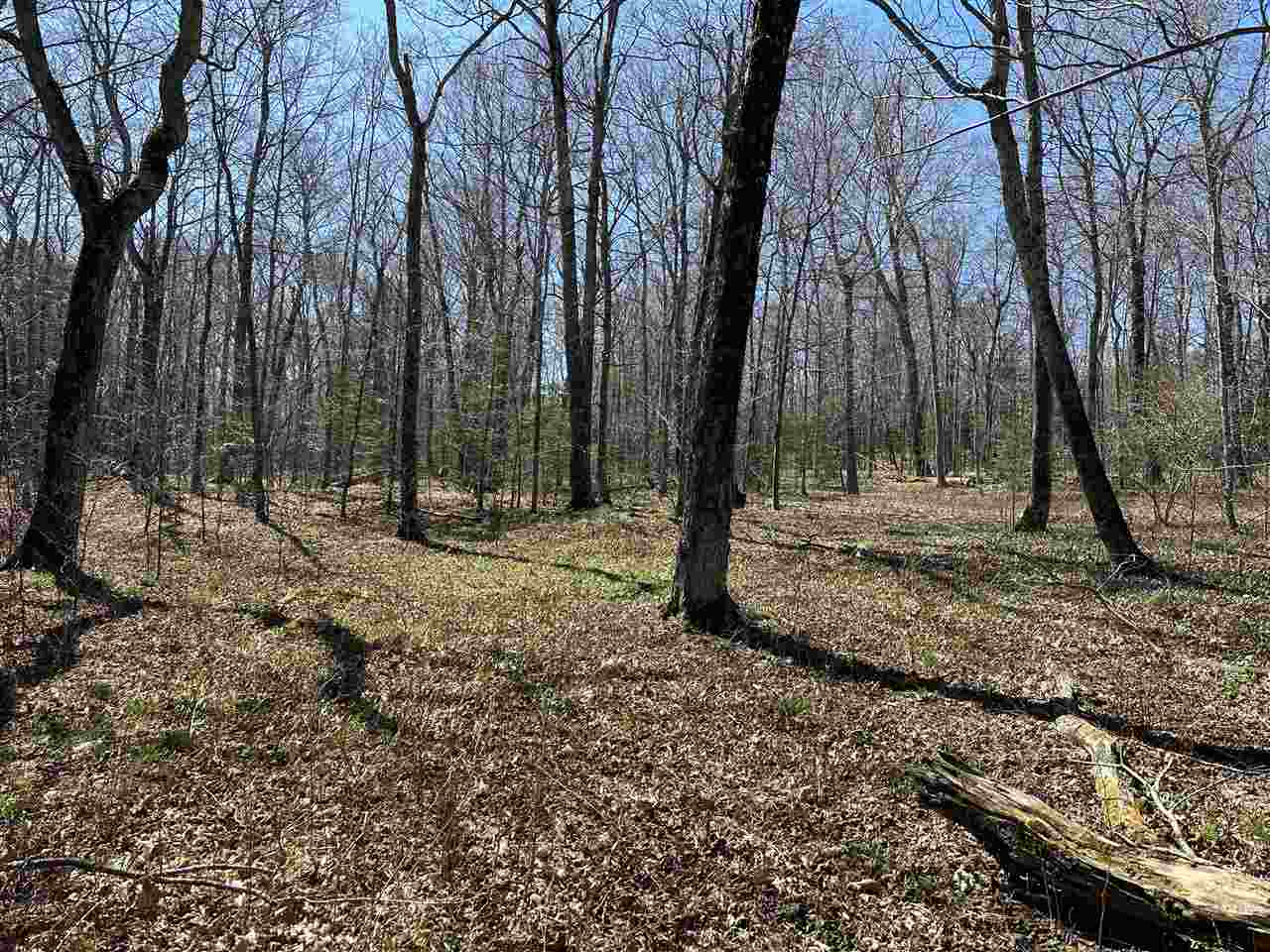 Tbd Garden Island View Beaver Island MI 49782