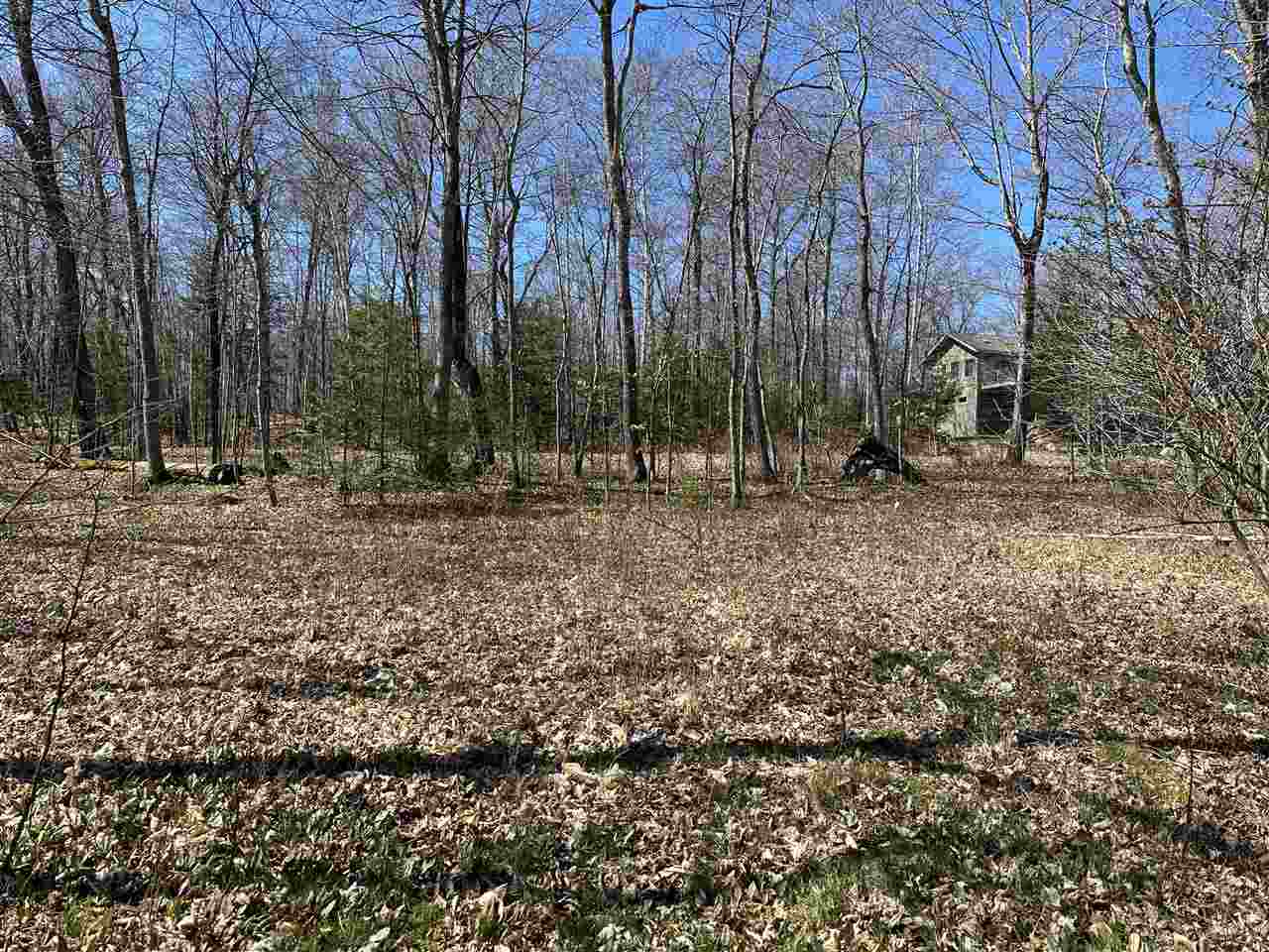 Tbd Garden Island View Beaver Island MI 49782