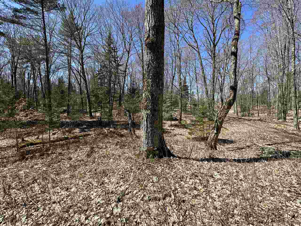 Tbd Garden Island View Beaver Island MI 49782