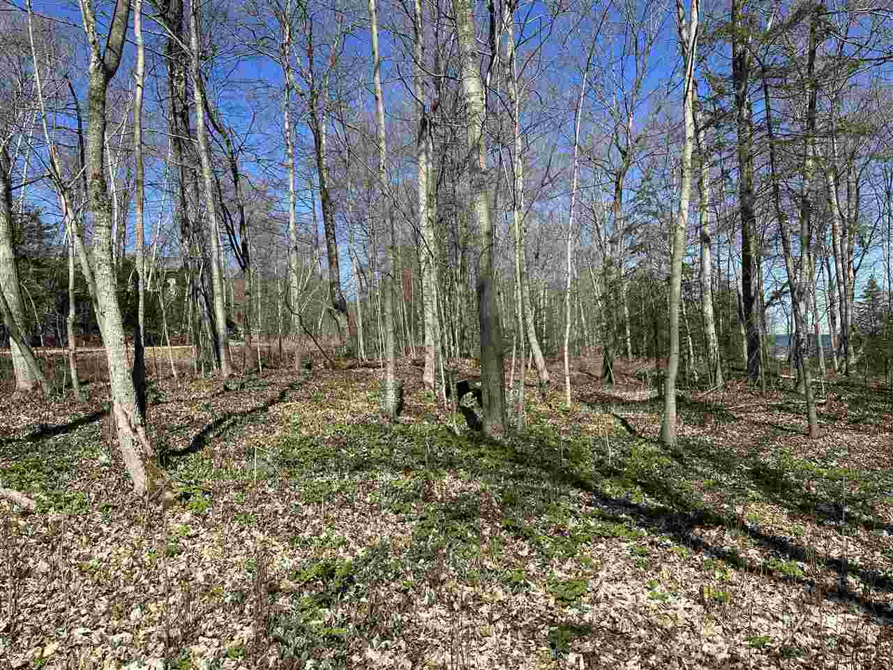 Tbd Garden Island View Beaver Island MI 49782