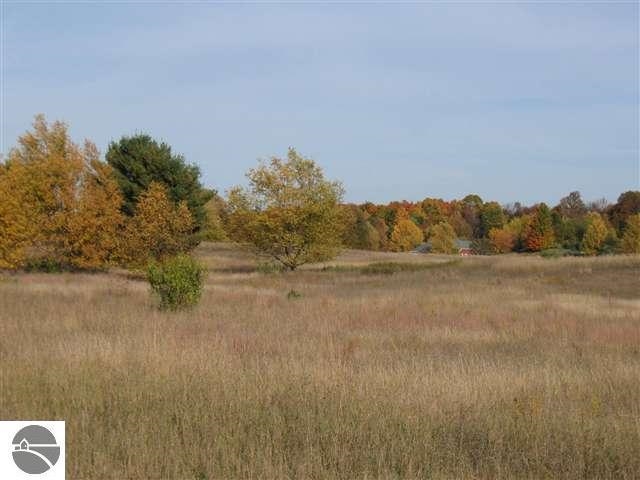 Lot 34 Alden Meadows Alden MI 49612