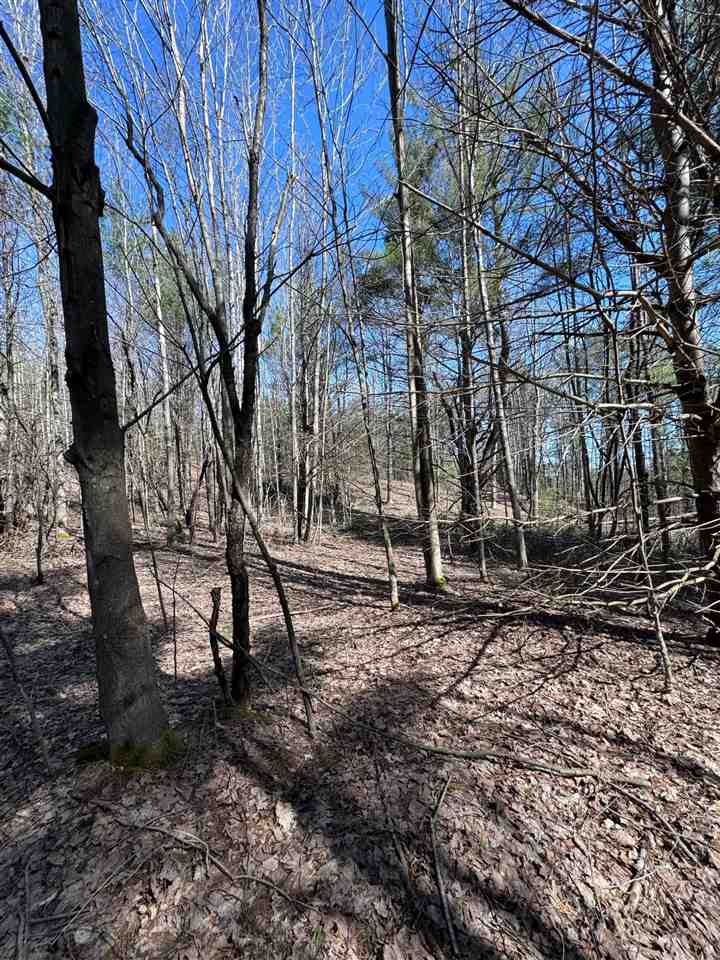 Tbd Maple Hill Road Boyne Falls MI 49713