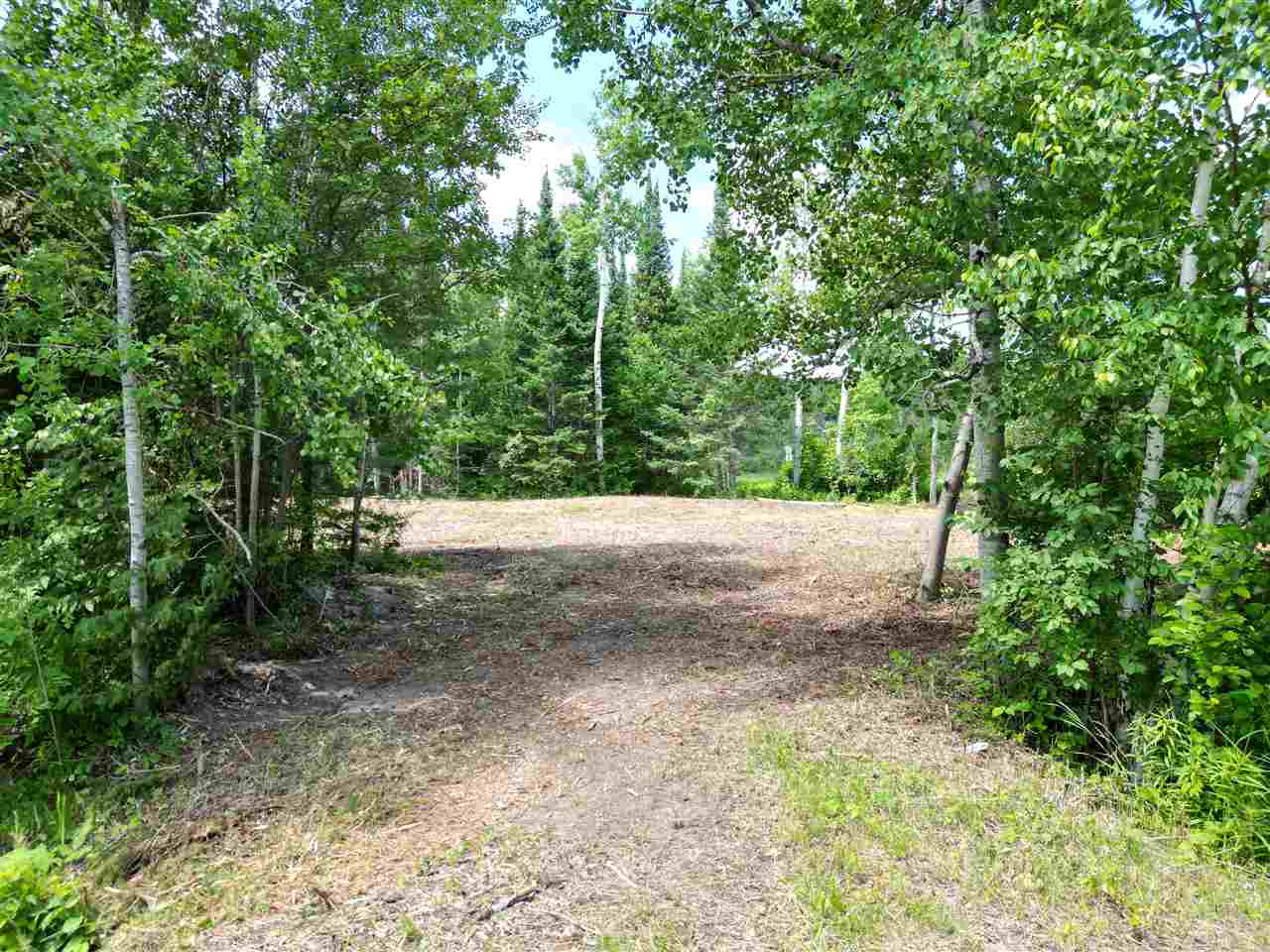 3511 Korthase Road Boyne City MI 49712