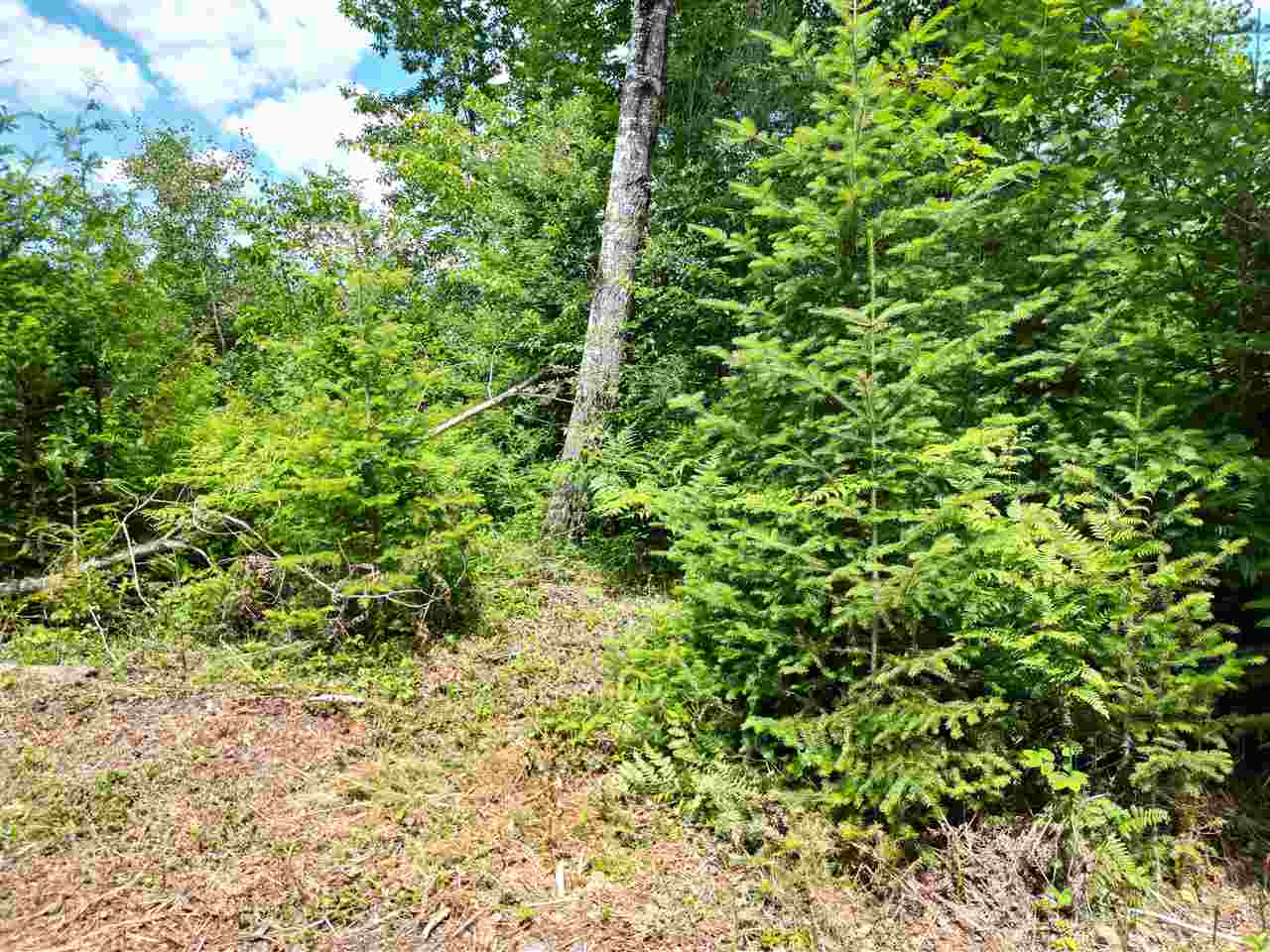 3511 Korthase Road Boyne City MI 49712