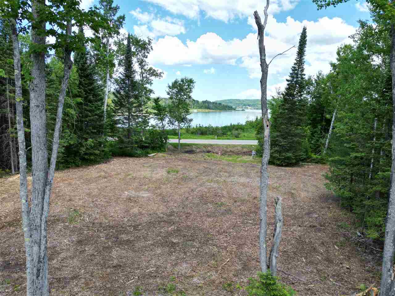 3511 Korthase Road Boyne City MI 49712