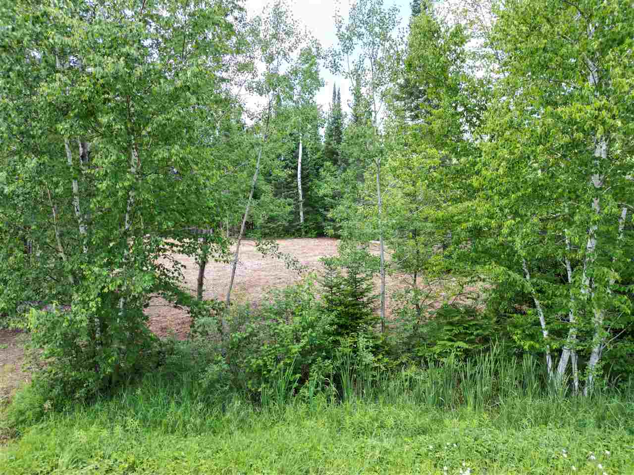 3511 Korthase Road Boyne City MI 49712