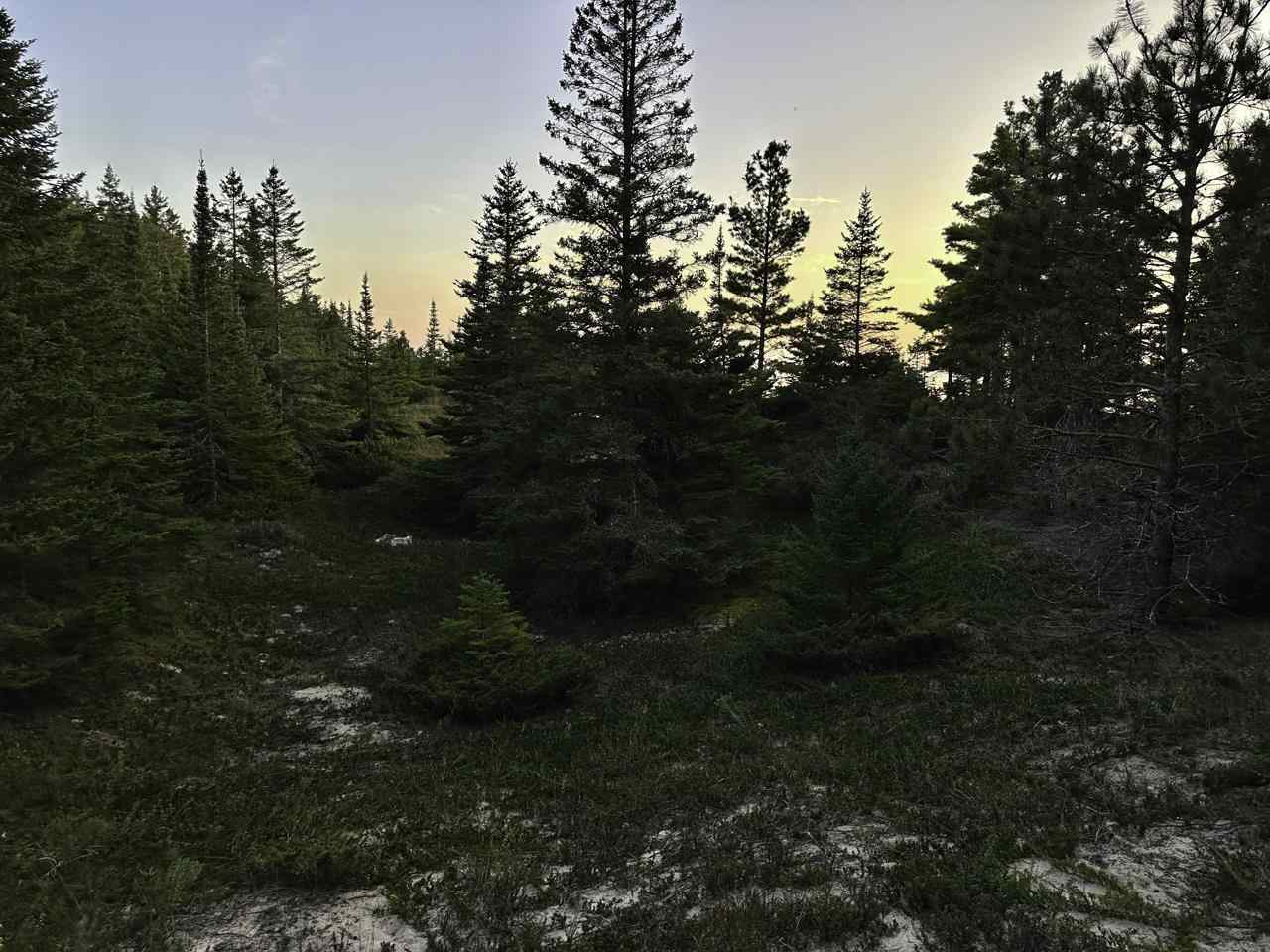 Tbd Mrs. Reddings Trail Beaver Island MI 49782