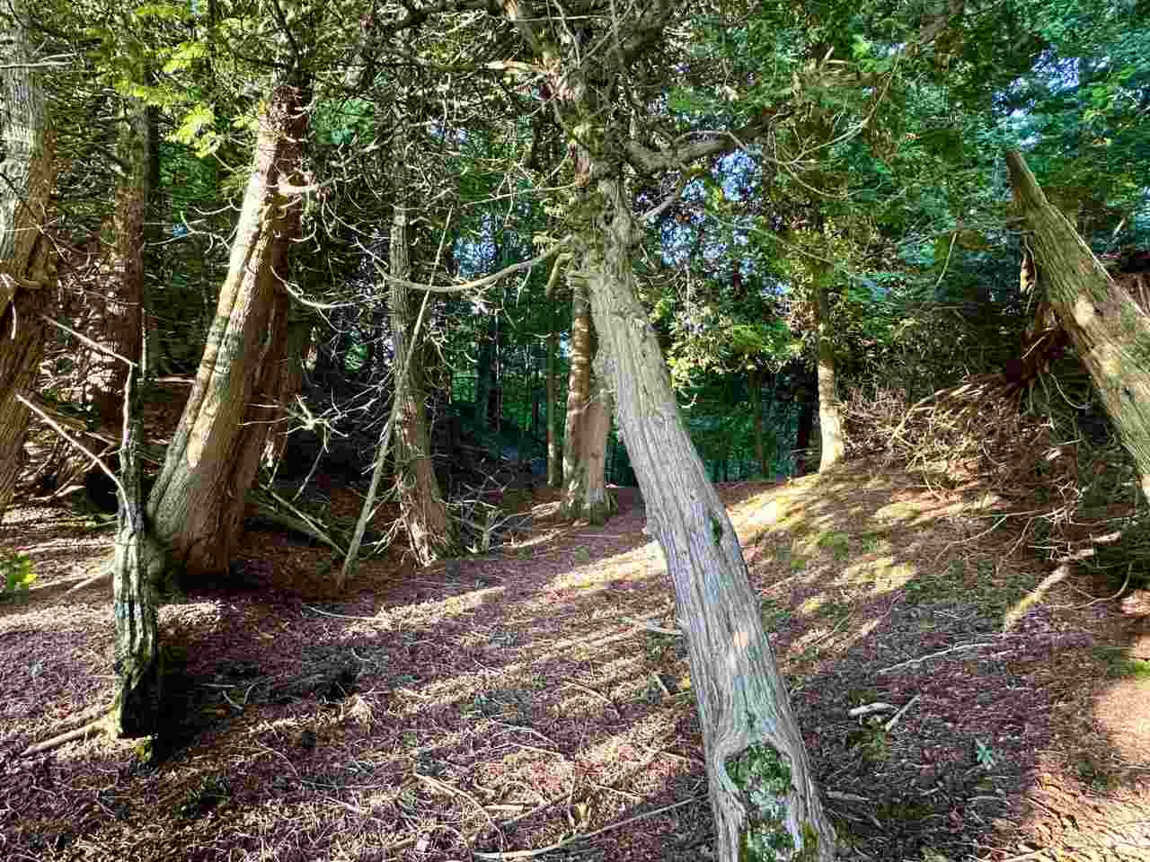 Tbd Mrs. Reddings Trail Beaver Island MI 49782