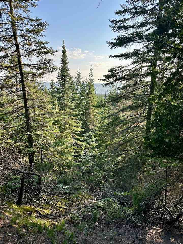 Tbd Mrs. Reddings Trail Beaver Island MI 49782
