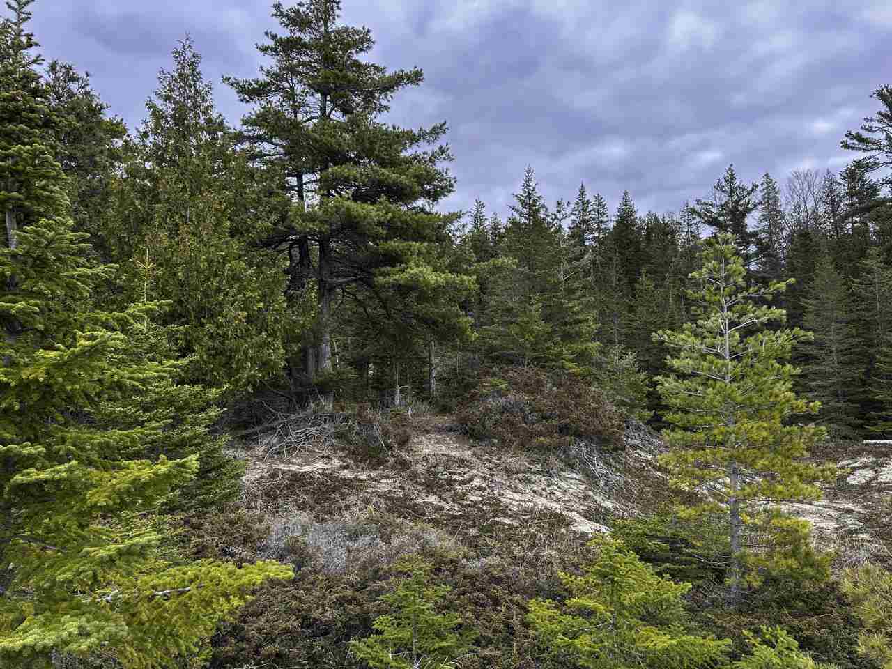 Tbd Mrs. Reddings Trail Beaver Island MI 49782