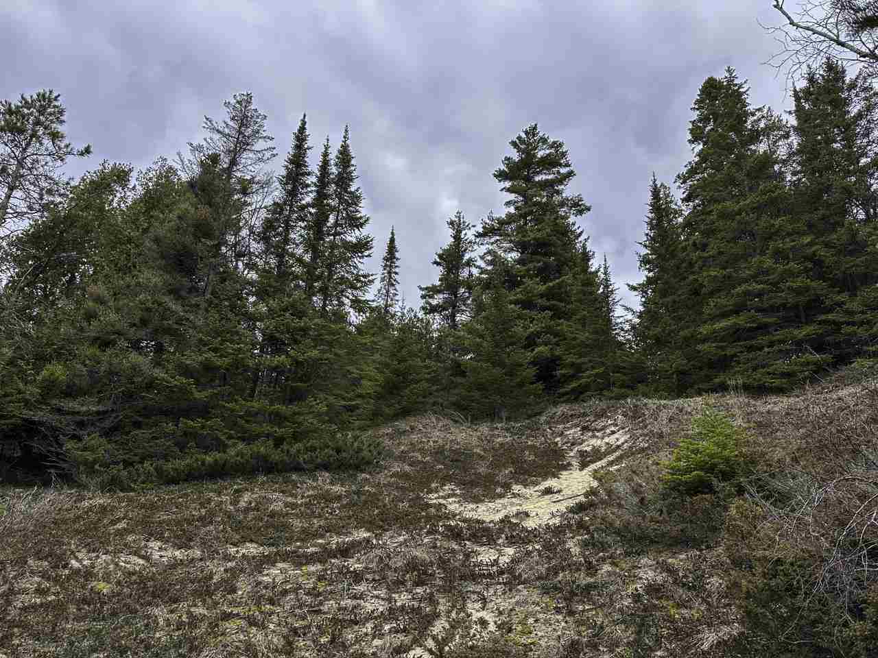 Tbd Mrs. Reddings Trail Beaver Island MI 49782