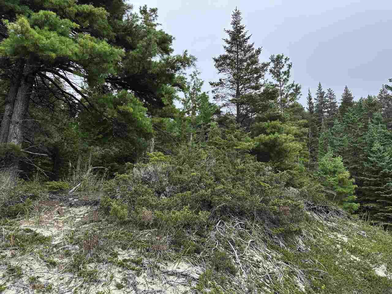 Tbd Mrs. Reddings Trail Beaver Island MI 49782