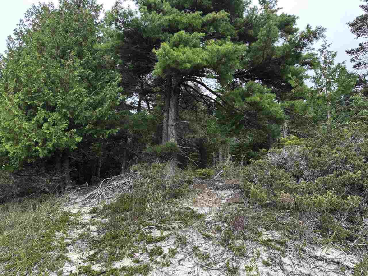 Tbd Mrs. Reddings Trail Beaver Island MI 49782