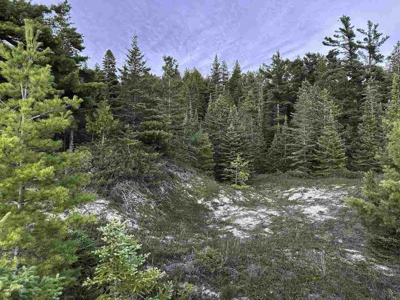 Tbd Mrs. Reddings Trail Beaver Island MI 49782