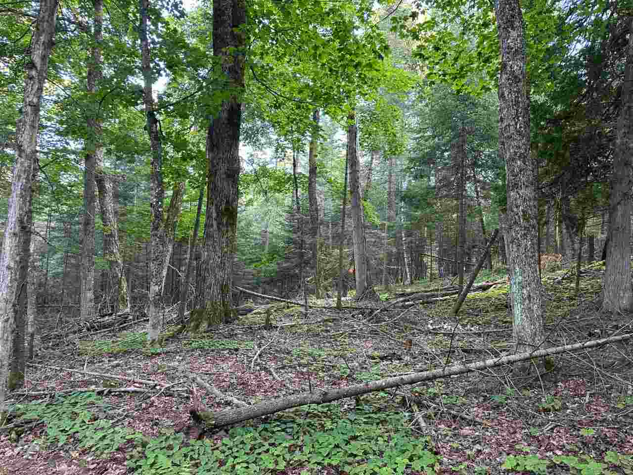 Tbd Mrs. Reddings Trail Beaver Island MI 49782