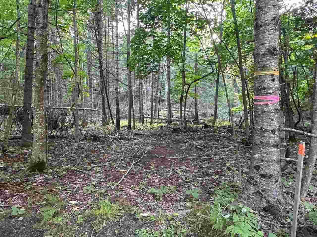 Tbd Mrs. Reddings Trail Beaver Island MI 49782
