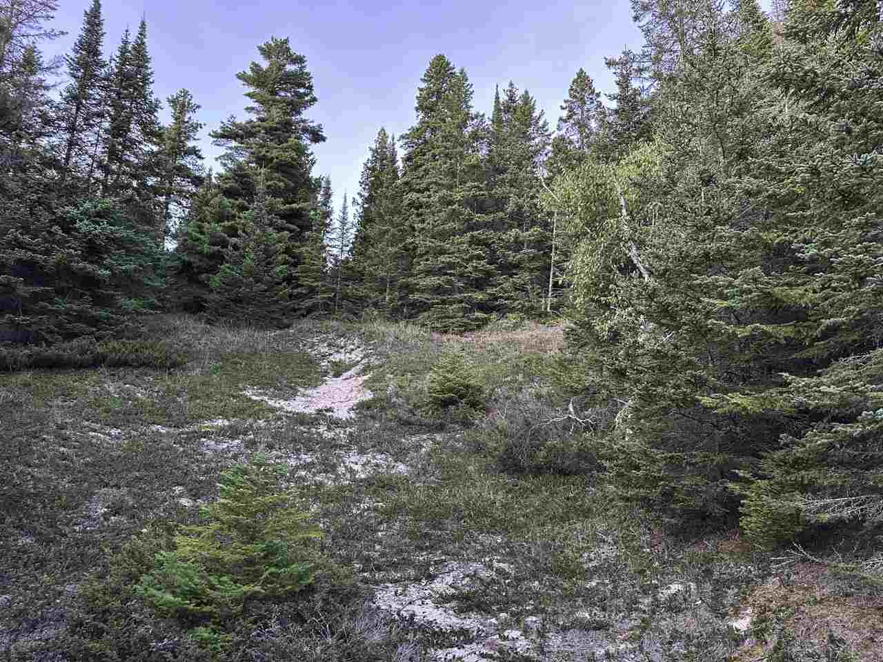 Tbd Mrs. Reddings Trail Beaver Island MI 49782