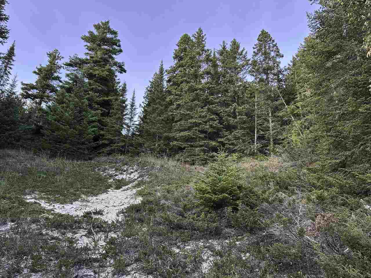 Tbd Mrs. Reddings Trail Beaver Island MI 49782