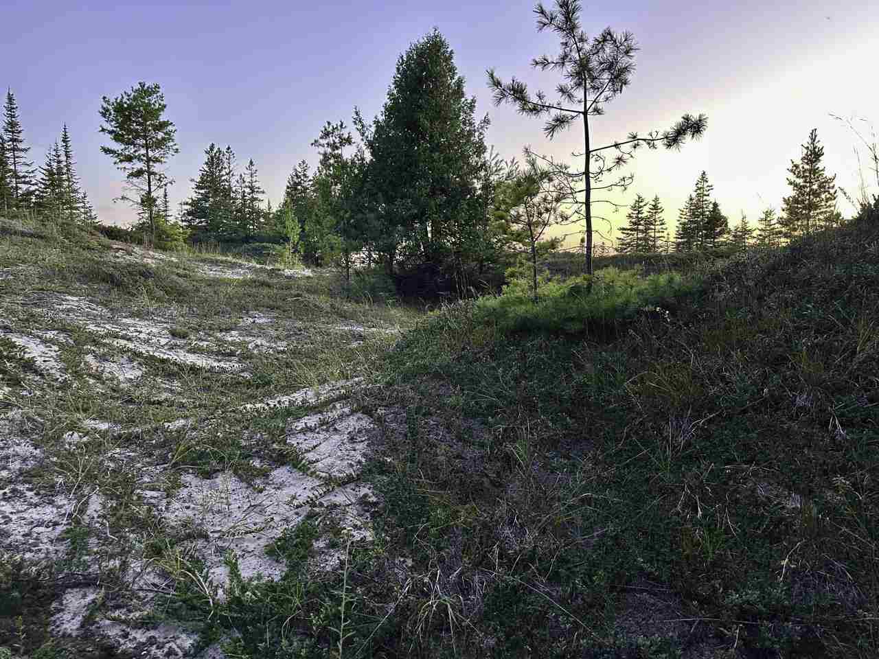 Tbd Mrs. Reddings Trail Beaver Island MI 49782