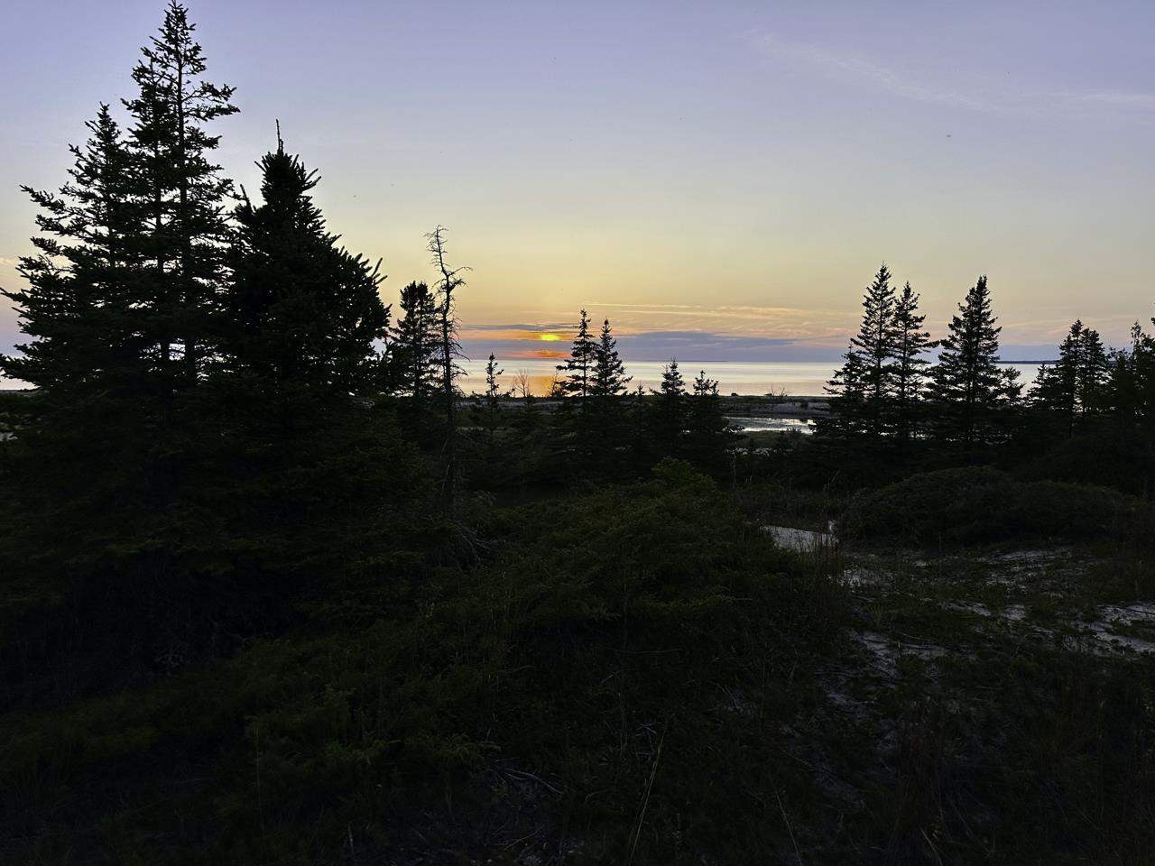 Tbd Mrs. Reddings Trail Beaver Island MI 49782